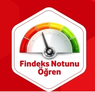 1122 Findeks Kredi Notu Öğrenme Servisi